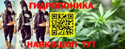 jwh Ярославль